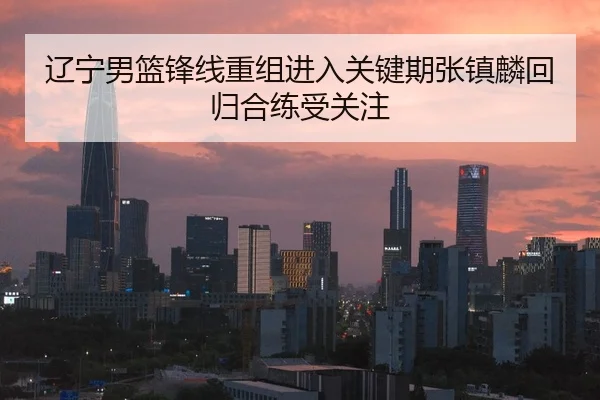 辽宁男篮锋线重组进入关键期张镇麟回归合练受关注